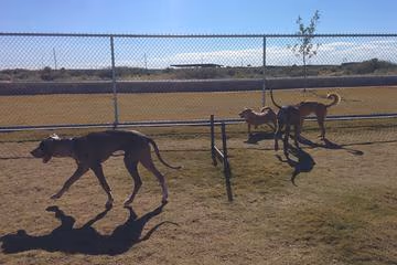 Tierra Buena Dog Park photo 1